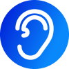 Voice.ai